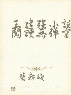 王建强小说免费阅读无弹窗