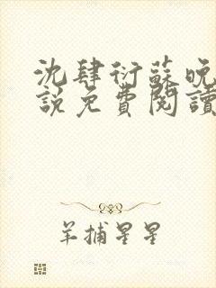 沈肆衍苏晚意小说免费阅读最新章节