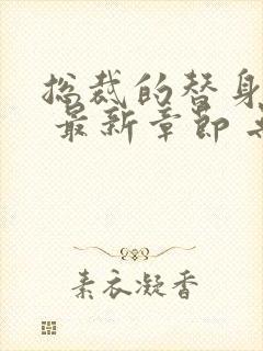 总裁的替身前妻 最新章节 无弹窗