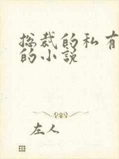 总裁的私有宝贝的小说