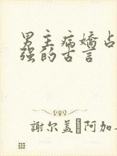 男主病娇占有欲强的古言