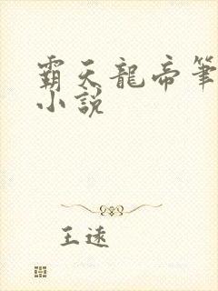 霸天龙帝笔趣阁小说