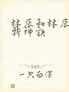 林辰和林辰九天斩神诀