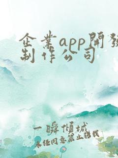 企业app开发制作公司