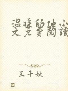 温暖的他小说全文免费阅读无弹窗