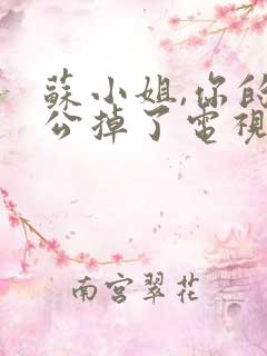 苏小姐,你的老公掉了电视剧剧情介绍