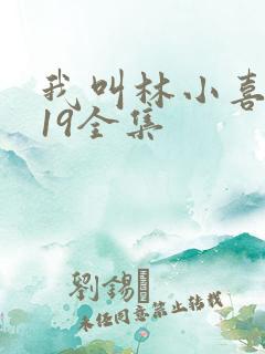 我叫林小喜今年19全集