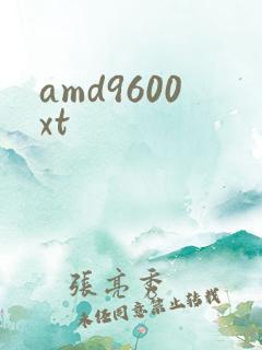 amd9600xt