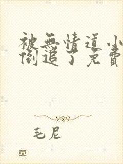 被无情道小师弟倒追了免费阅读