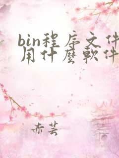 bin程序文件用什么软件打开