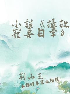 小说《摄政王的宠妻日常》