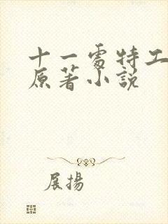 十一处特工皇妃原著小说