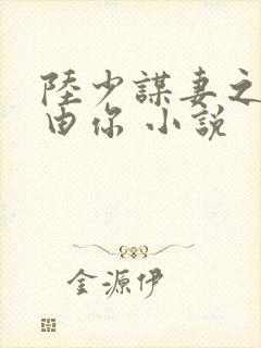 陆少谋妻之婚不由你 小说