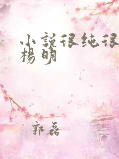 小说很纯很暧昧杨明