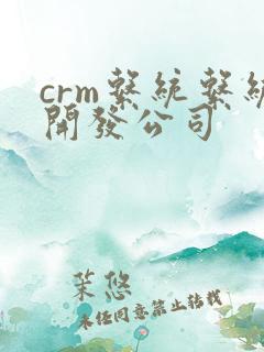 crm系统系统开发公司