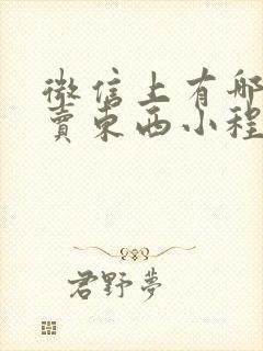 微信上有哪些能卖东西小程序