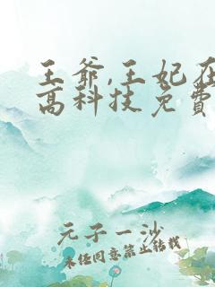 王爷,王妃在玩高科技免费阅读