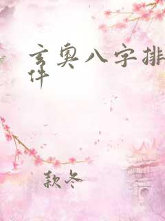 玄奥八字排盘软件