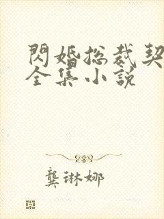 闪婚总裁契约妻全集小说