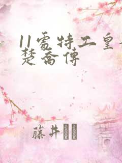 11处特工皇妃楚乔传