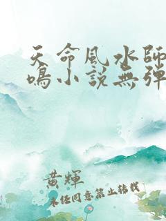 天命风水师杨天鸣小说无弹窗阅读