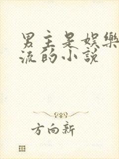 男主是娱乐圈顶流的小说