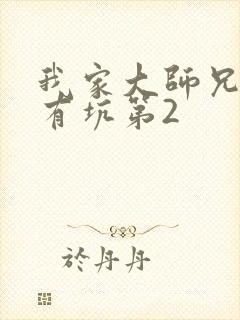 我家大师兄脑子有坑第2