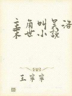 主角叫吴洛枫的末世小说