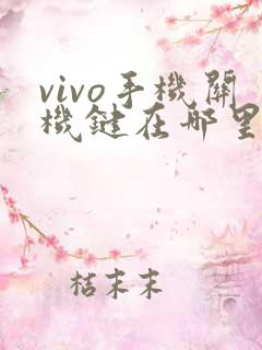 vivo手机关机键在哪里