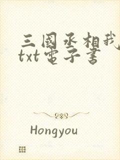 三国丞相我来了txt电子书