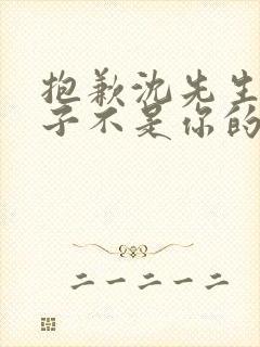 抱歉沈先生,孩子不是你的完整短剧