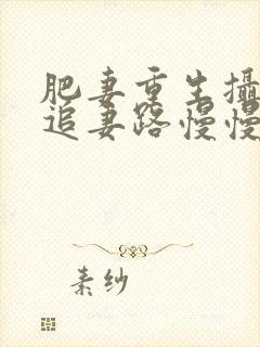 肥妻重生摄政王追妻路慢慢