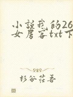 小说我的26岁女房客txt下载