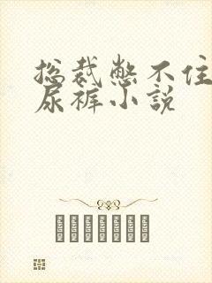 总裁憋不住穿纸尿裤小说