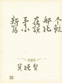 新手在哪个平台写小说比较好