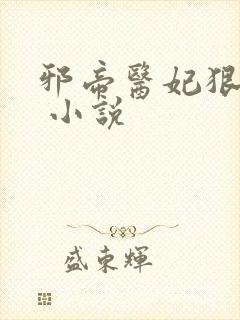 邪帝医妃狠逆天 小说