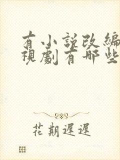 有小说改编的电视剧有哪些