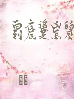 白夜追凶的结局到底是怎么回事