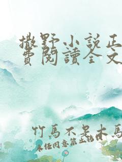 撒野小说正版免费阅读全文无弹窗