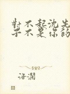 对不起沈先生孩子不是你的短剧免费