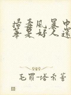 扫毒风暴中卢少华是好人还是坏人