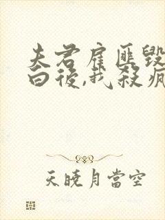 夫君雇匪毁我清白后,我杀疯了小说