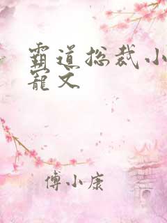 霸道总裁小说甜宠文