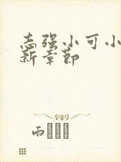 志强小可小说最新章节