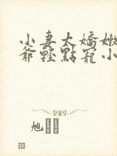 小妻太娇嫩,枭爷轻点宠小说全文免费阅读