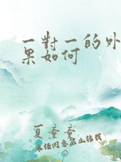 一对一的外教效果如何