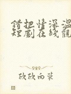 错把情深温柔小短剧在线观看