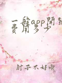 一般app开发费用多少