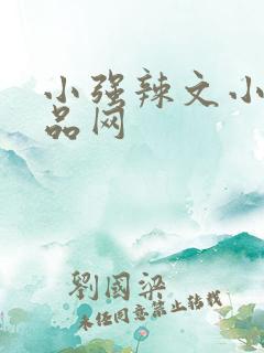 小强辣文小说精品网