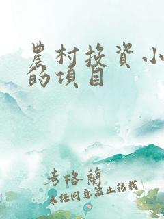 农村投资小挣钱的项目